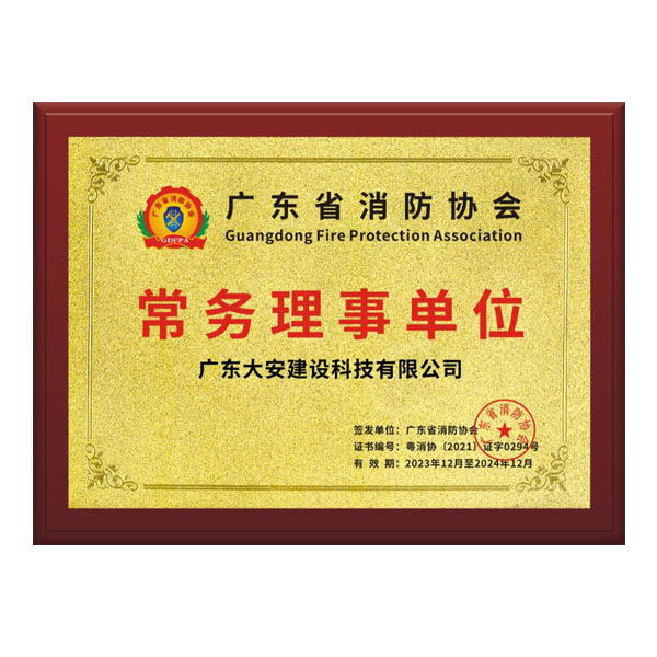 2024消防協會常務理事會員證書